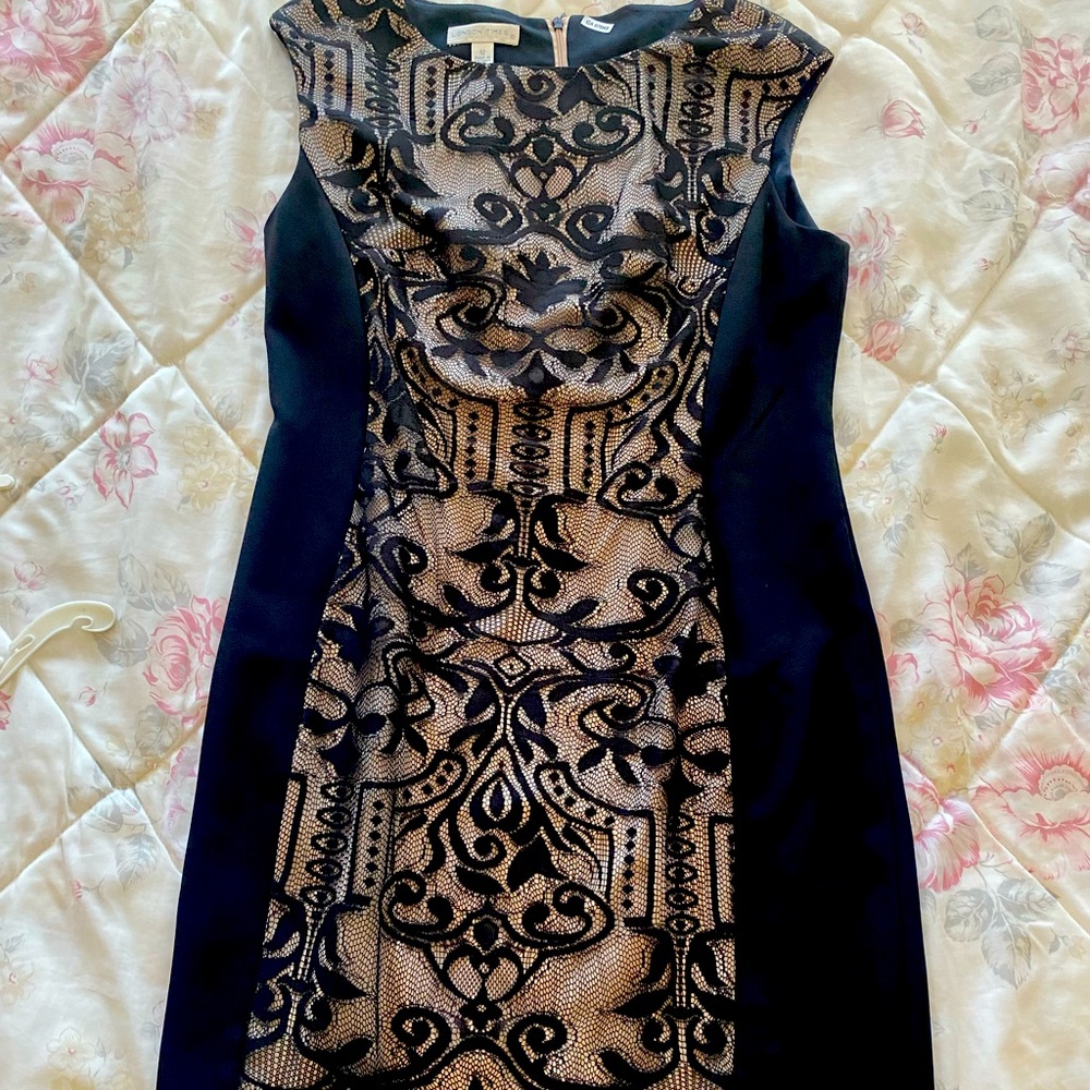 Black and beige lace dress
